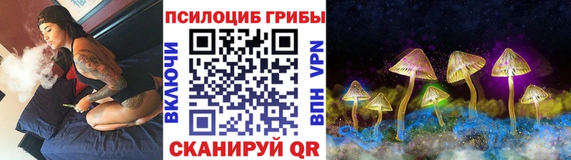 Псилоцибиновые грибы GOLDEN TEACHER  Эртиль 